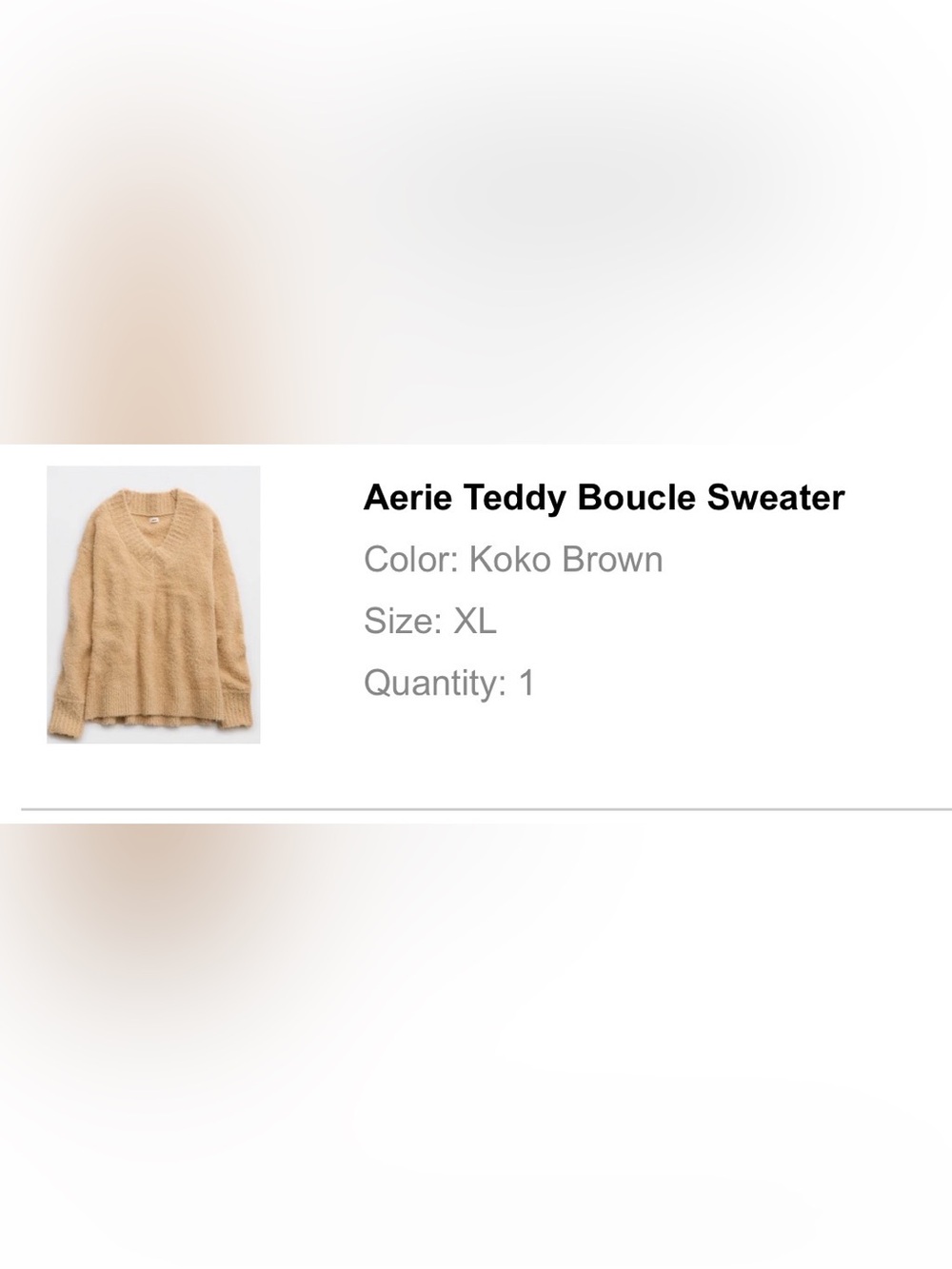 NWT Aerie V-Neck Teddy Boucle Sweater in koko brown XL - Picture 4 of 9